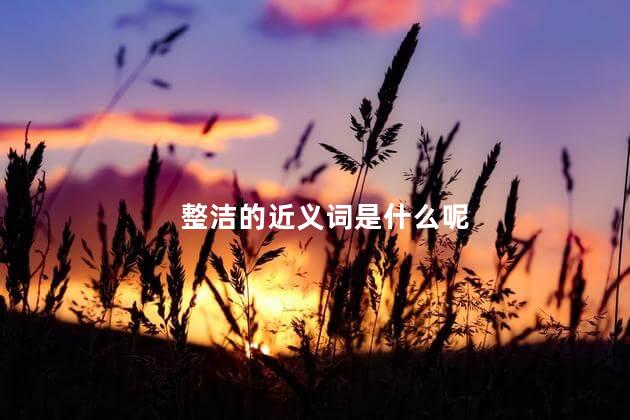 整洁的近义词是什么呢