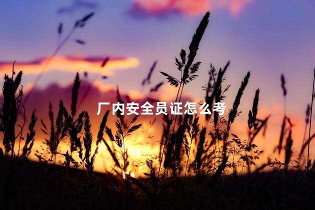 厂内安全员证怎么考