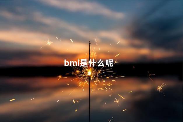 bmi是什么呢