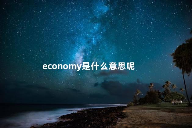 economy是什么意思呢