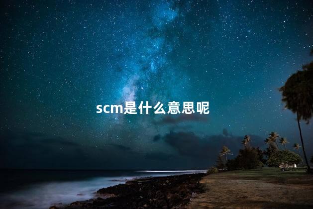 scm是什么意思呢