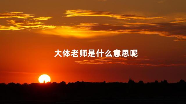 大体老师是什么意思呢