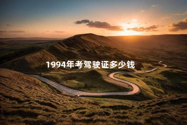 1994年考驾驶证多少钱