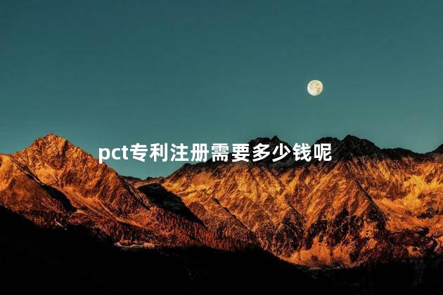 pct专利注册需要多少钱呢