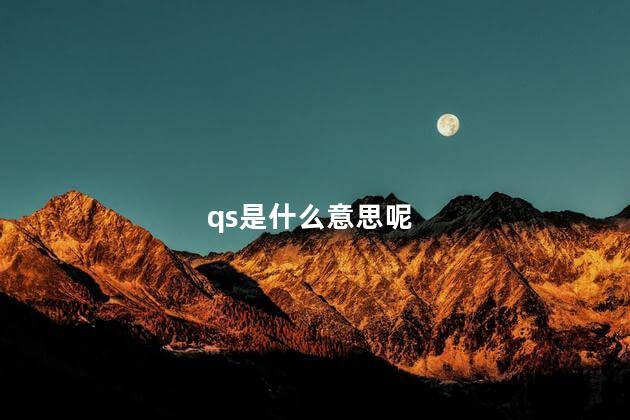 qs是什么意思呢