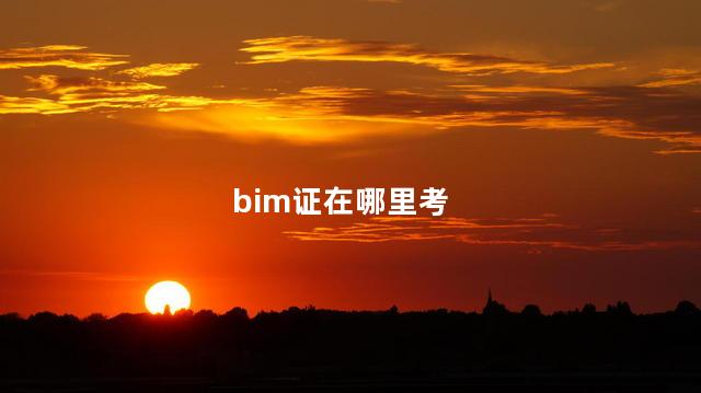 bim证在哪里考