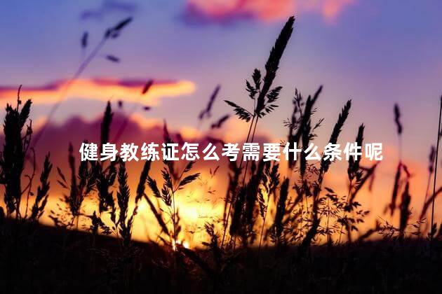 健身教练证怎么考需要什么条件呢