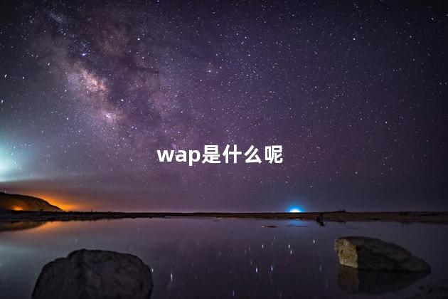 wap是什么呢