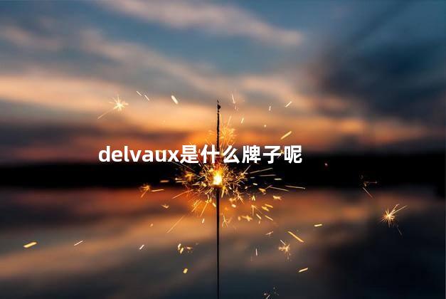 delvaux是什么牌子呢