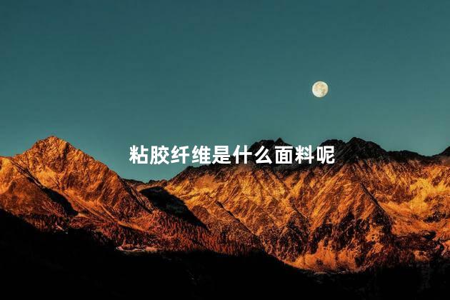 粘胶纤维是什么面料呢