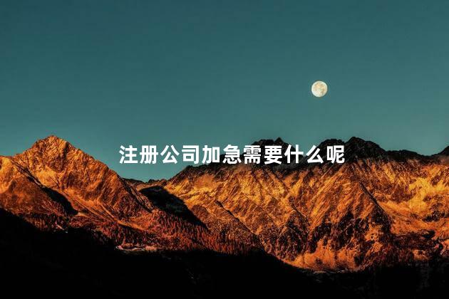 注册公司加急需要什么呢