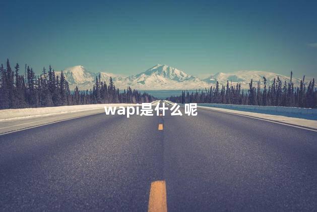 wapi是什么呢