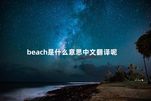 beach是什么意思中文翻译呢