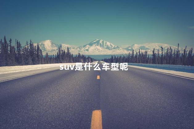 suv是什么车型呢