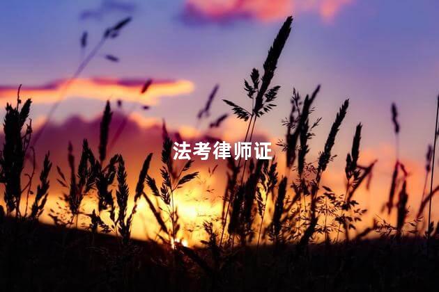 法考律师证