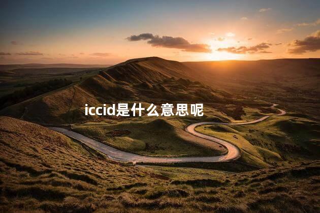 iccid是什么意思呢