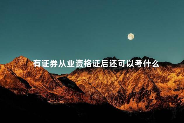 有证券从业资格证后还可以考什么