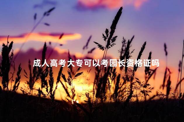 成人高考大专可以考园长资格证吗