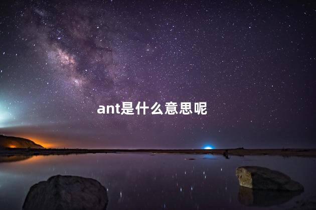 ant是什么意思呢，ant指什么