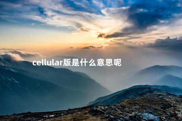 cellular版是什么意思呢 ipadcellular版