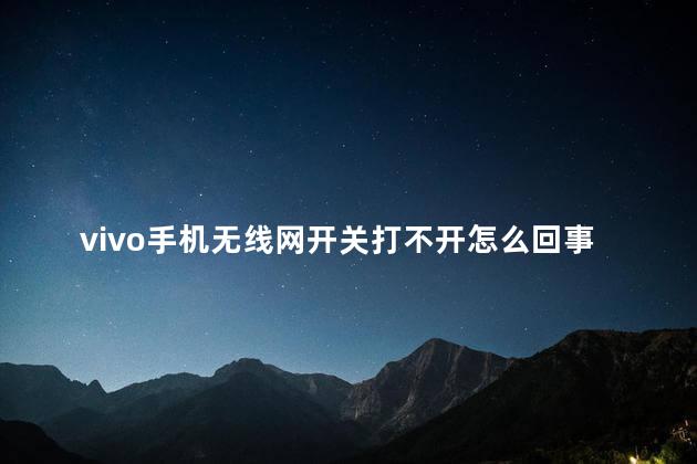 vivo手机无线网开关打不开怎么回事，vivo手机无线网连上不能用怎么回事