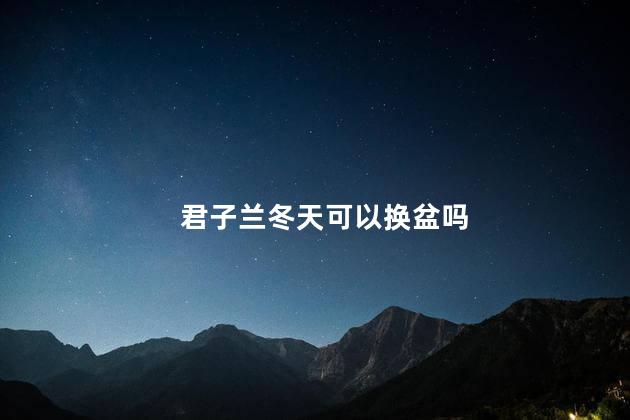 君子兰冬天可以换盆吗，君子兰换盆需要注意什么