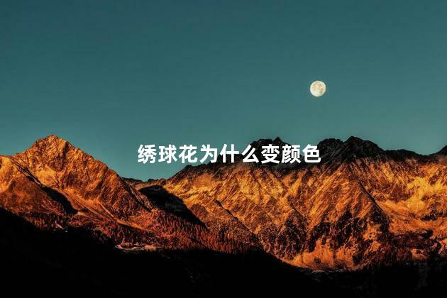 绣球花为什么变颜色，绣球花变颜色什么原因