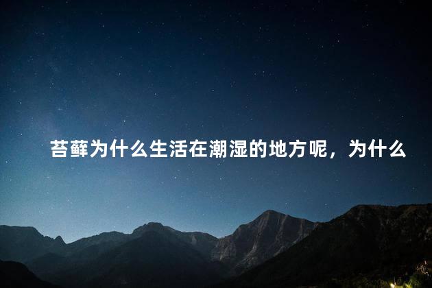 苔藓为什么生活在潮湿的地方呢，为什么苔藓生活在潮湿的地方