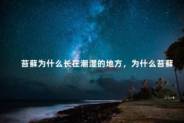 苔藓为什么长在潮湿的地方，为什么苔藓长在潮湿的地方呢